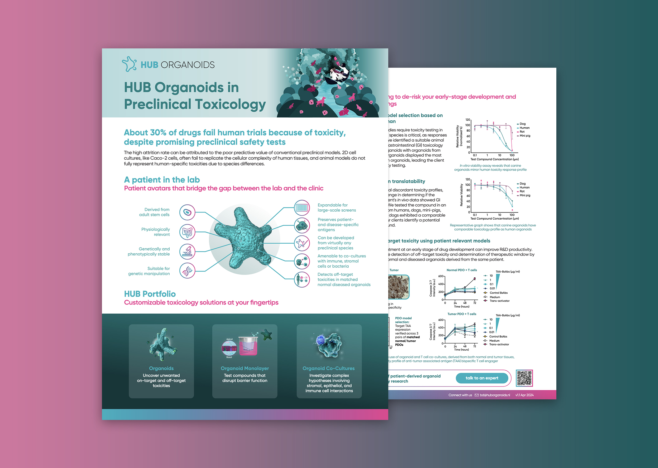 HUB Organoids in Preclinical Toxicology