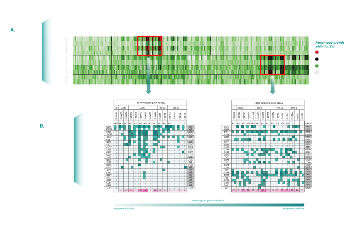 A highly scalable lead identification platform