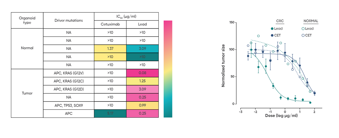 Negating off-tumor and off-target toxicities with matched healthy organoids