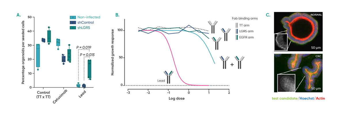 Understanding the mechanism of action for lead optimization