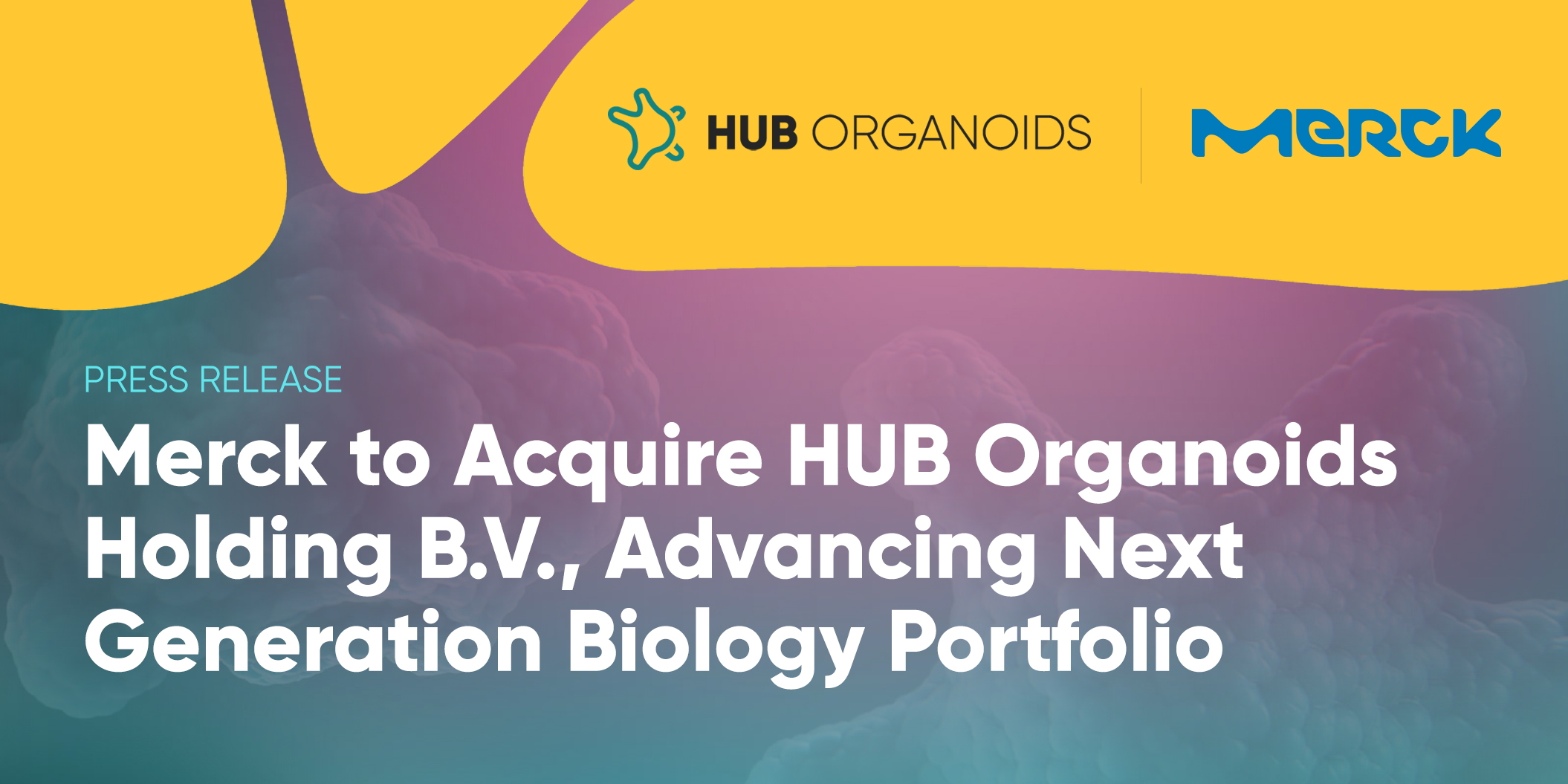 Merck to Acquire HUB Organoids Holding B.V., Advancing Next Generation Biology Portfolio