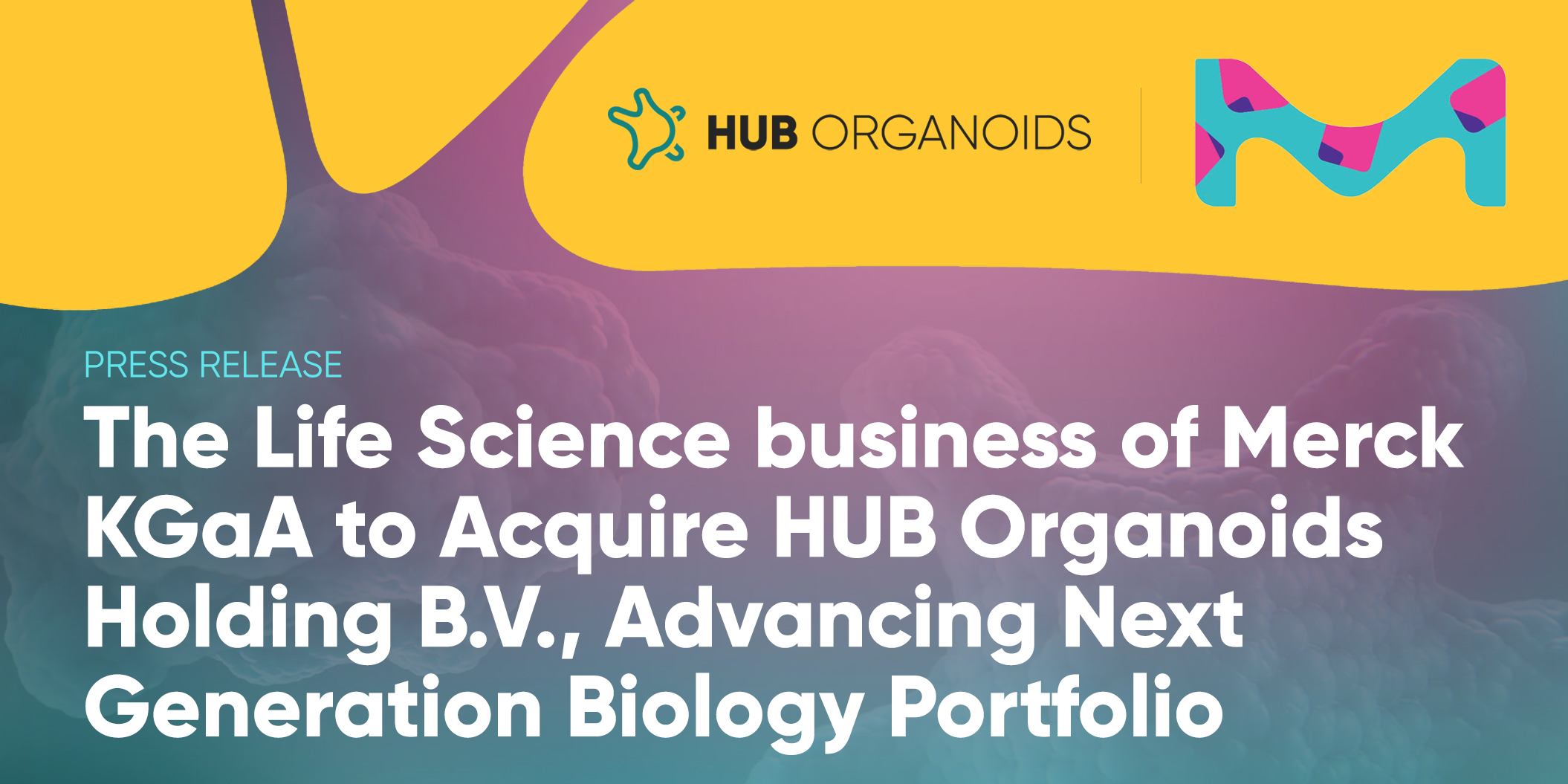 The Life Science business of Merck KGaA, Darmstadt, Germany, to Acquire HUB Organoids Holding B.V., Advancing Next Generation Biology Portfolio